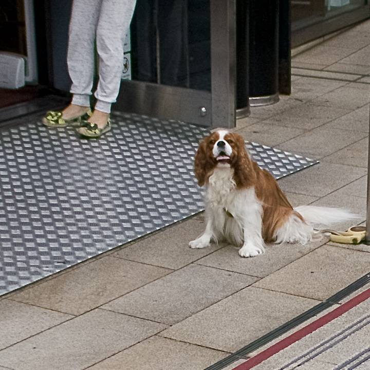 3c8dc1dc 9e98 43bb a9b9 79bc0cac6a1d