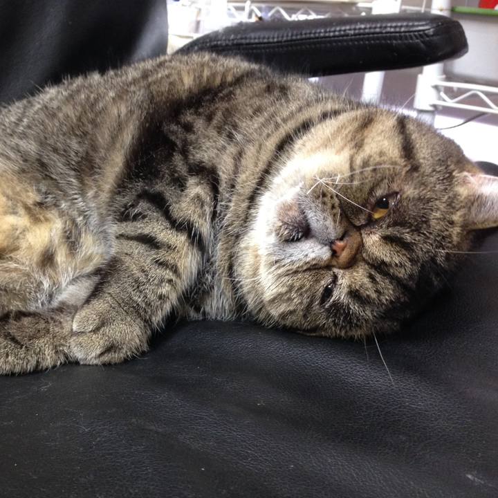 3c8dc7c7 5b32 4d6e a005 6f9c51ee696e