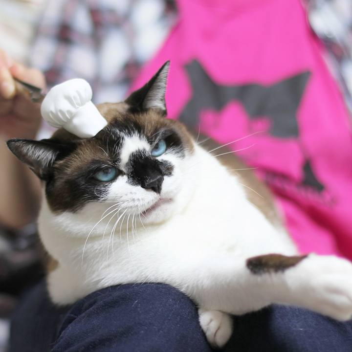 3c8e3346 bb47 46c7 aad2 db80fbf9b387