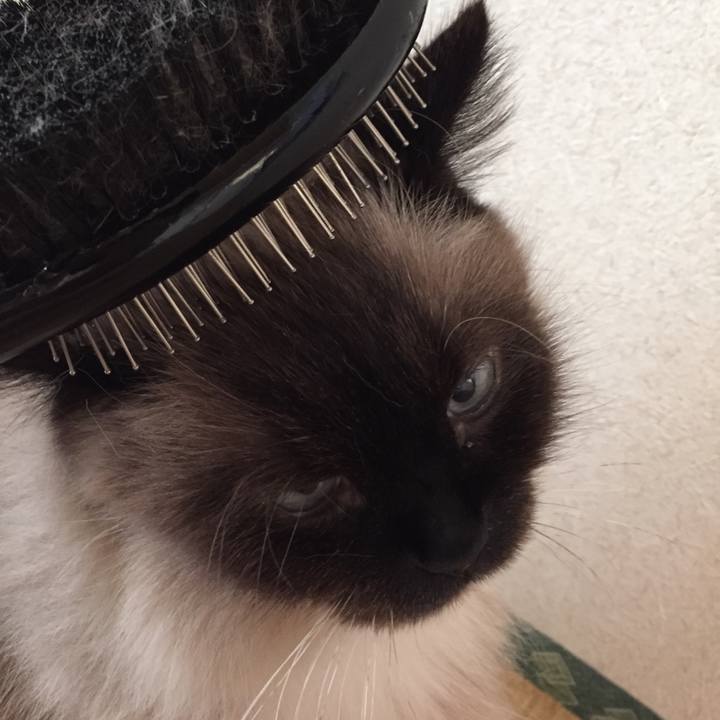 3c8e7f7f da78 4bc3 a54d e072419990f9