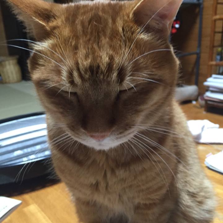 3c8ea295 c338 4b05 8927 239aaece13ef