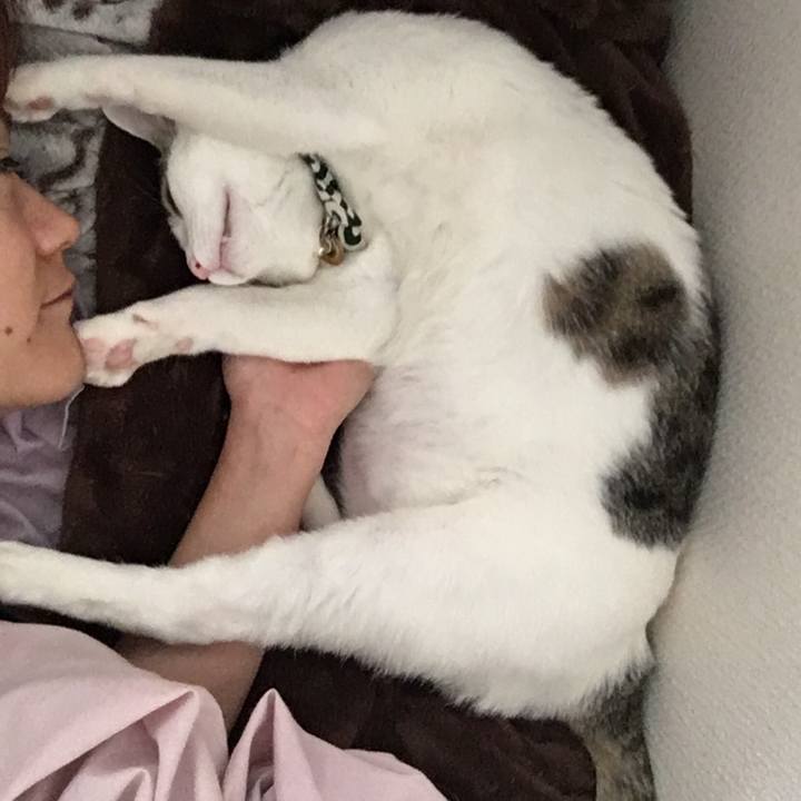 3c8eae5c 4133 454e 85d1 3d2782dea6d0