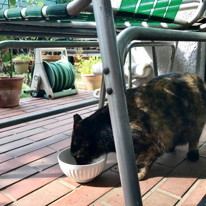 3c8f06b0 f3d6 4947 bbcd fa7c7531f330