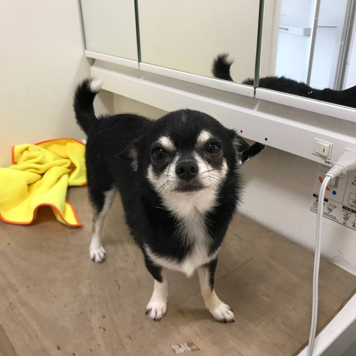 3c8fc532 6ae2 4604 a5f5 73dd1b335b0c