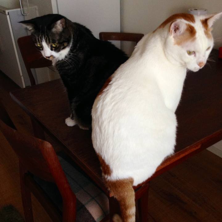 3c913042 6c15 4133 956e 052cbd1aacc1