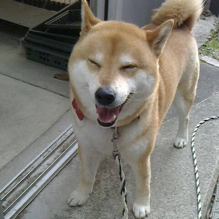 3c91d019 3f98 423e 9397 aae3cfd70117