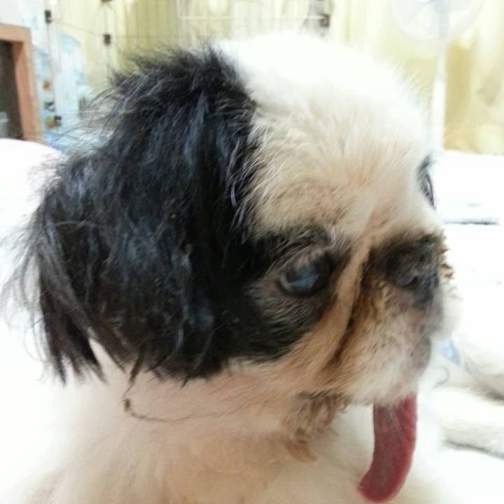 3c925168 a565 48fd 91f0 eead3c7b43a1