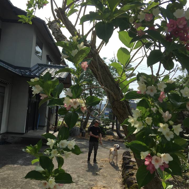 3c925194 f29c 4487 972e f47daca380a9