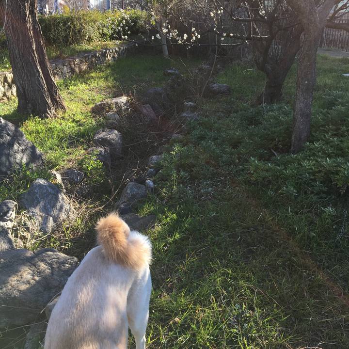 3c92c772 d90c 4e59 baf4 3cf31c88ca43