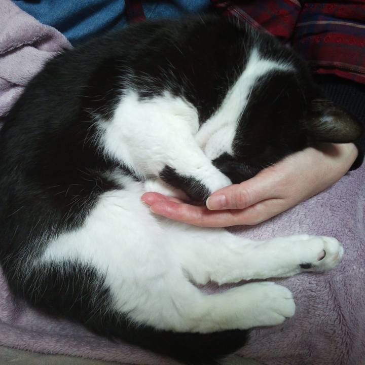 3c934bde 5a71 449d a63c b6406b78875e