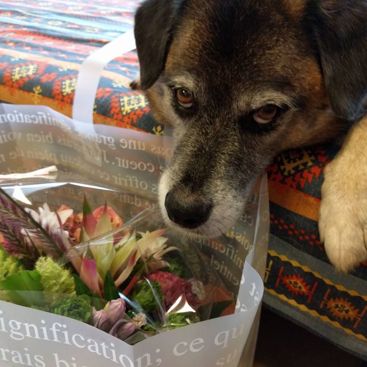 3c934d7e 6d13 4a6e bb3f 6c940f8d8c5f