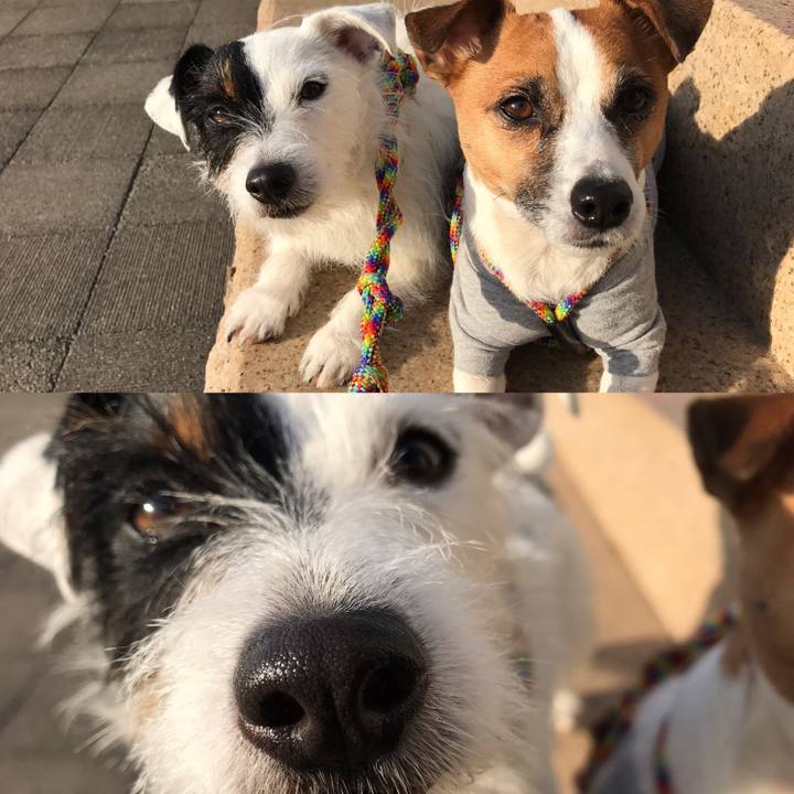 3c939d8e 36d1 49db 968d b8b95079836e