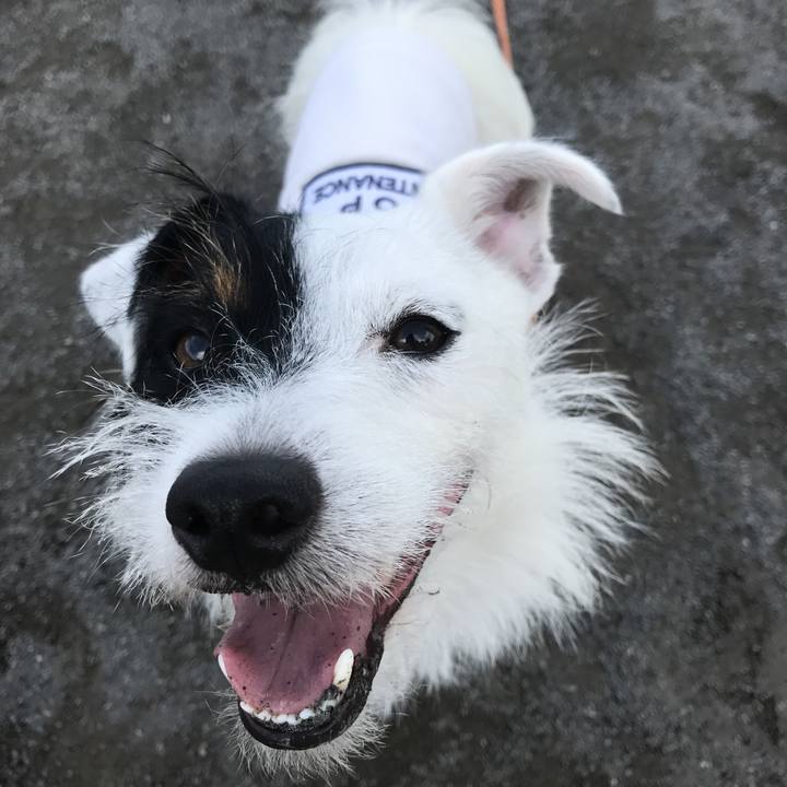 3c947232 2d21 42aa ba55 dd6bae7b3c73