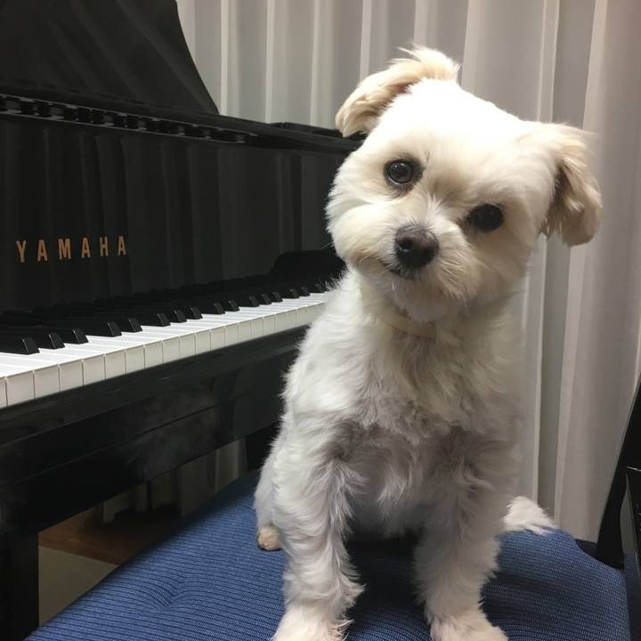 3c94e4f8 412f 438a 944b eff14241332b