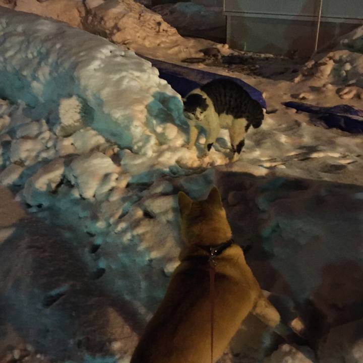 3c96faa8 154b 4603 8562 ee2af8c1f576