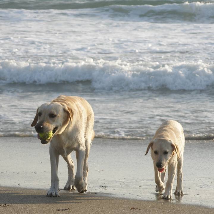 3c97065d 2196 41db b490 e485a635c136