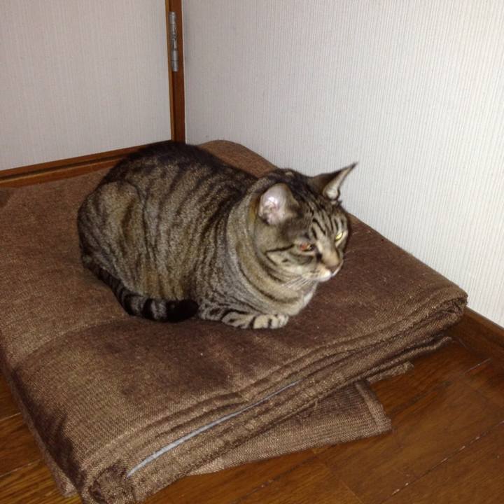 3c973b19 14f0 4214 8287 54534af38e02