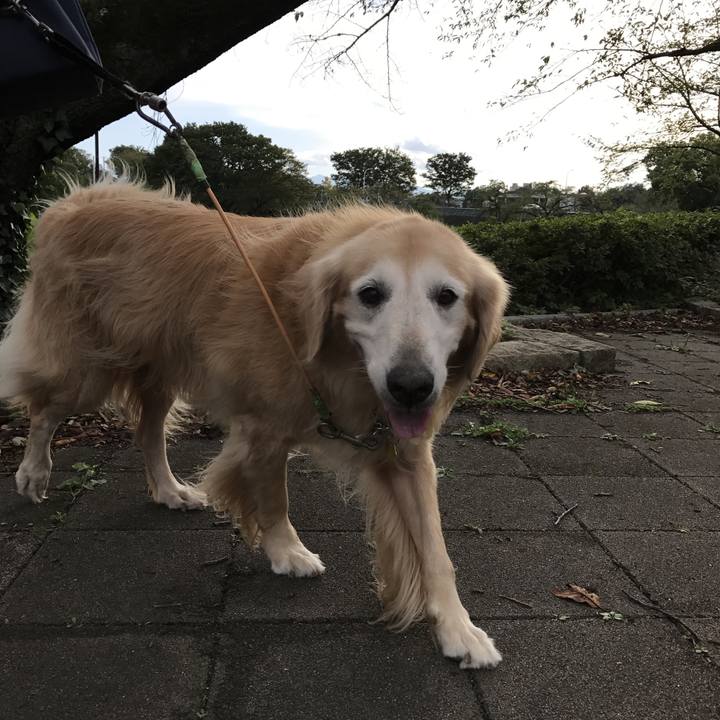 3c974d63 f988 480b a332 d4eb5c563726