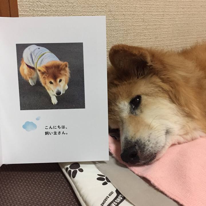 3c98105e 07ac 449a 998f 802d71de7165