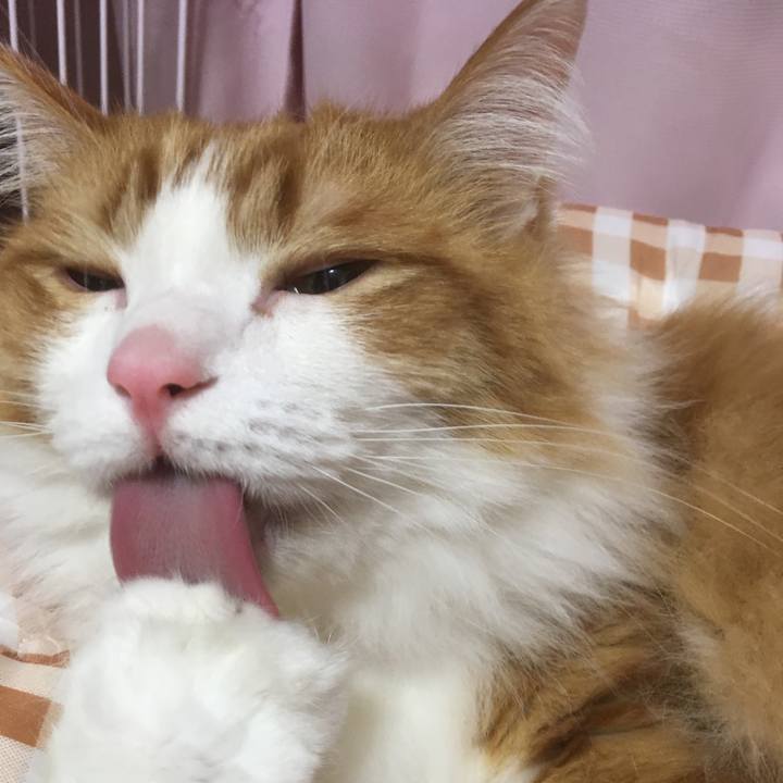 3c986c76 f28c 4dac 91ff 1c79e55d35f6