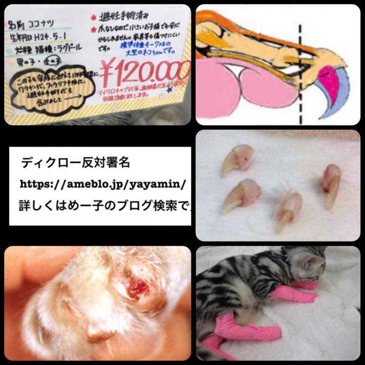 3c989adf 5e1d 4f8b b6cc a7ffdf9a329f
