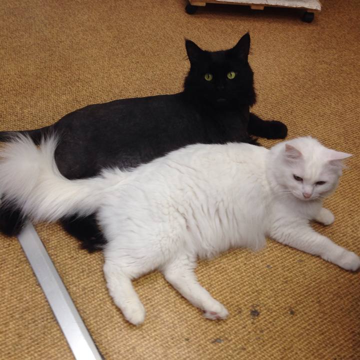 3c98bd27 420d 42c3 8a09 260dfd549c19