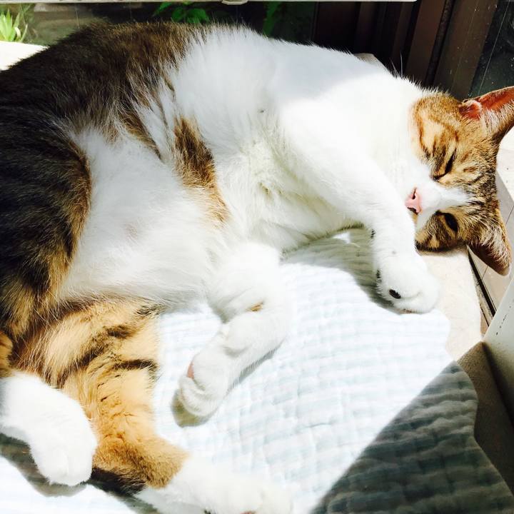 3c98fe93 7a2b 4a75 97a4 0dcaecc9d33a