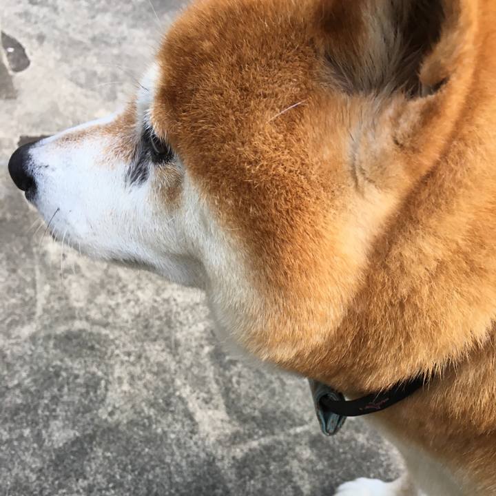 3c993253 b5b5 449b a89a 81d123bcdac5