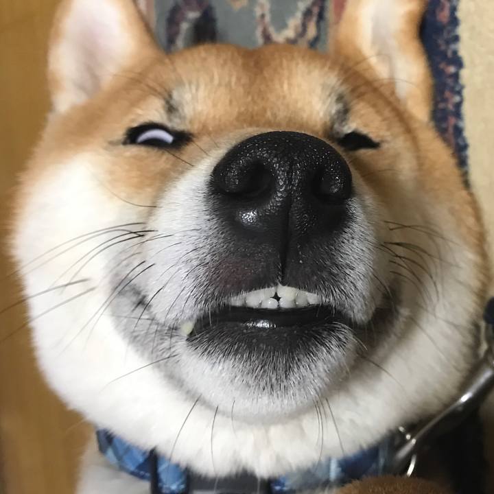 3c995a42 cf11 4e4c b733 cc8e199942ff