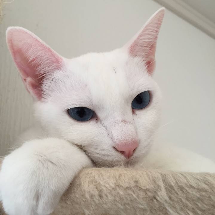 3c99f38c f6fd 495c 9d5e f2c489616411