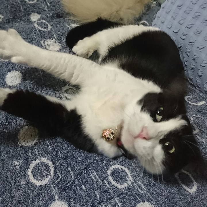 3c9aa047 7986 43a1 b553 180eda3bcf54