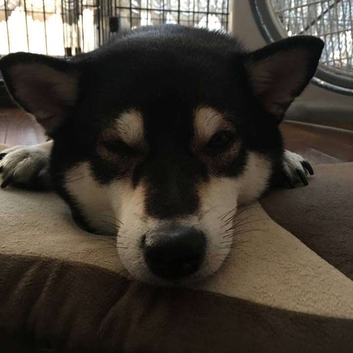 3c9af2be 60c5 4a00 bd2d 1bc6f1b41d93