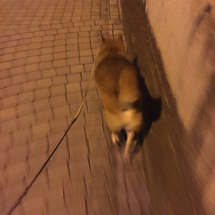 3c9b075f b576 4e1b b411 6dcb4252b1a3