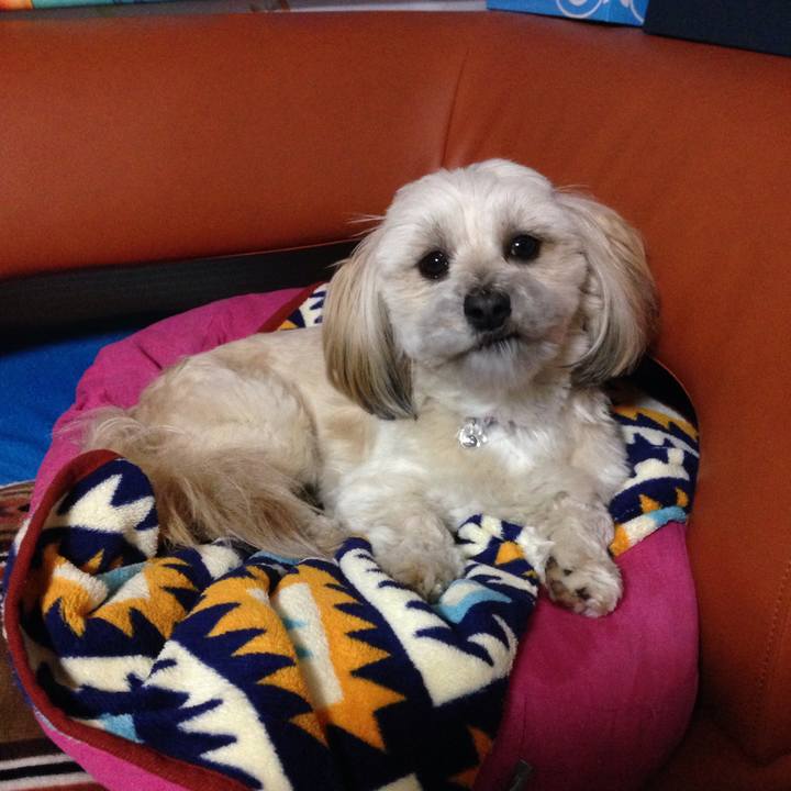 3c9bc4c5 de6e 4a70 a14d a6c1e5314ad7