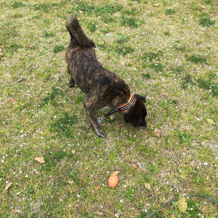 3c9c50c6 f2f1 4624 b28d 141848628ad9