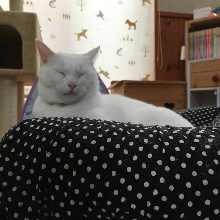 3c9d25f5 f171 4a43 b2cb c3d9b03f84a9