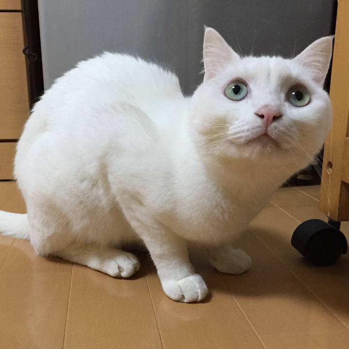 3c9d7e05 f554 4549 b16d 45732667d12b