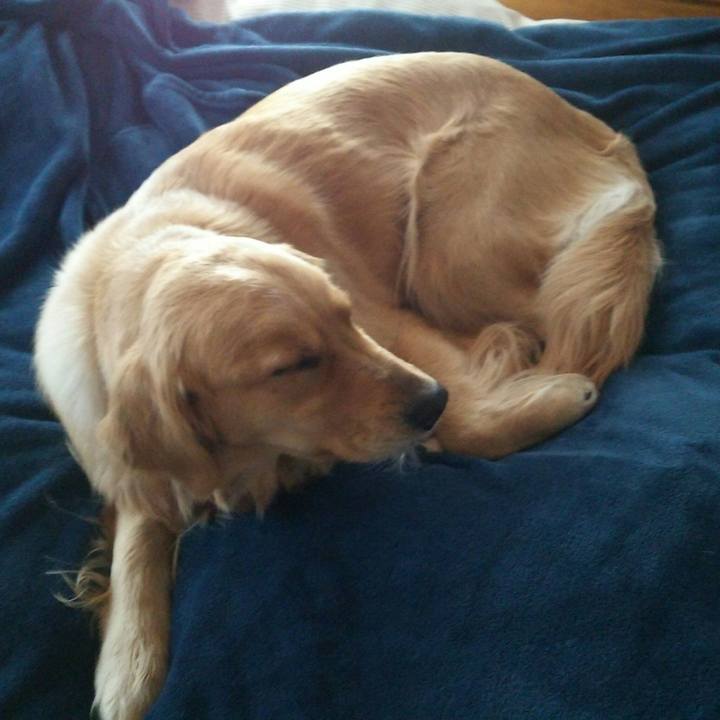 3c9e08c2 167c 48cf 964a 97cf10473baa