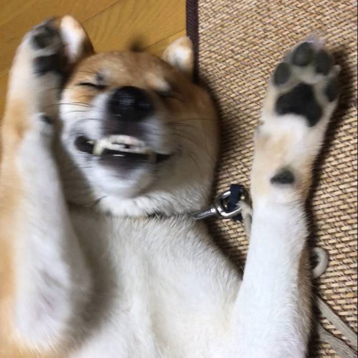 3c9e2bf0 ec43 4f0d 9b29 b6261e1631c7