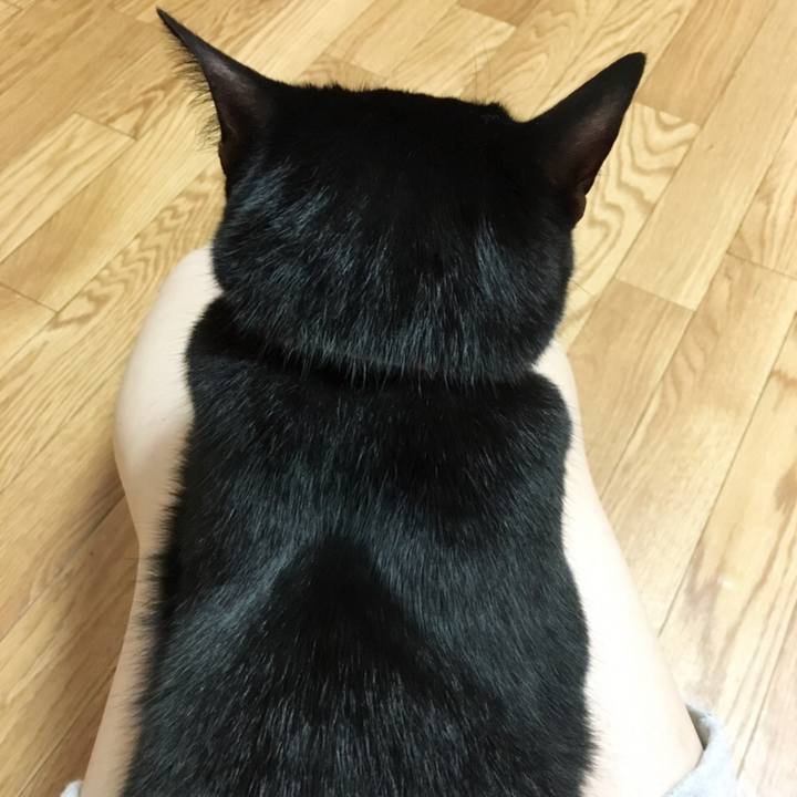 3c9ede44 0486 4f94 84e9 6e63aecc264f