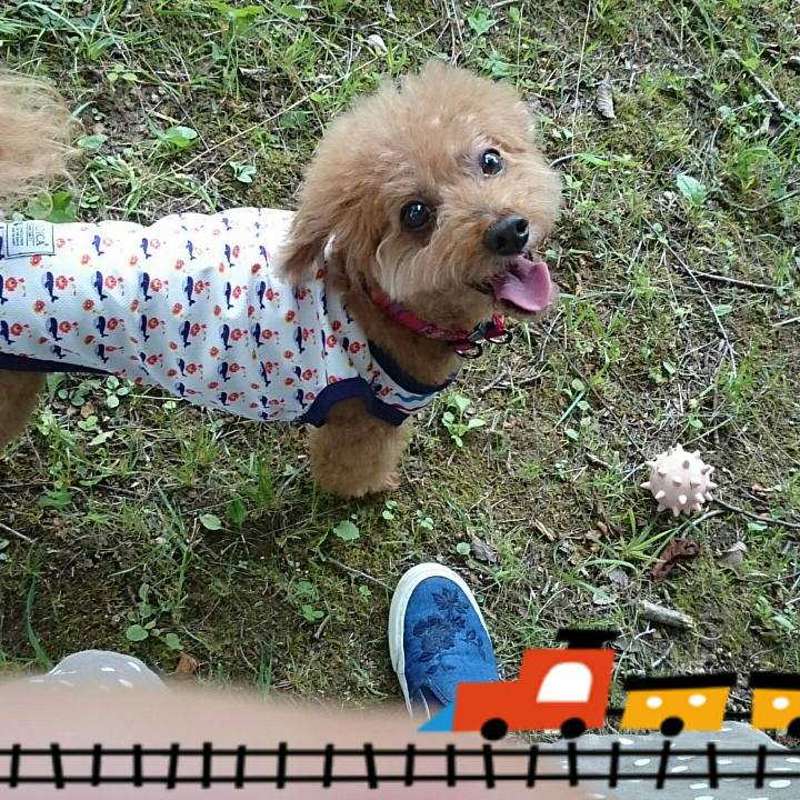 3c9f3e2f c78a 4e9d b580 0f6128a58b64