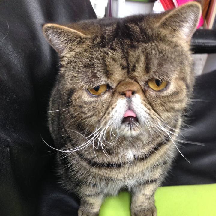 3c9f8bee 0f9d 4c74 a07c bba4d67f468f