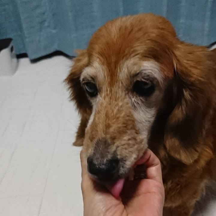 3ca02ef3 dbba 4a16 8beb 6834a4ee44fe