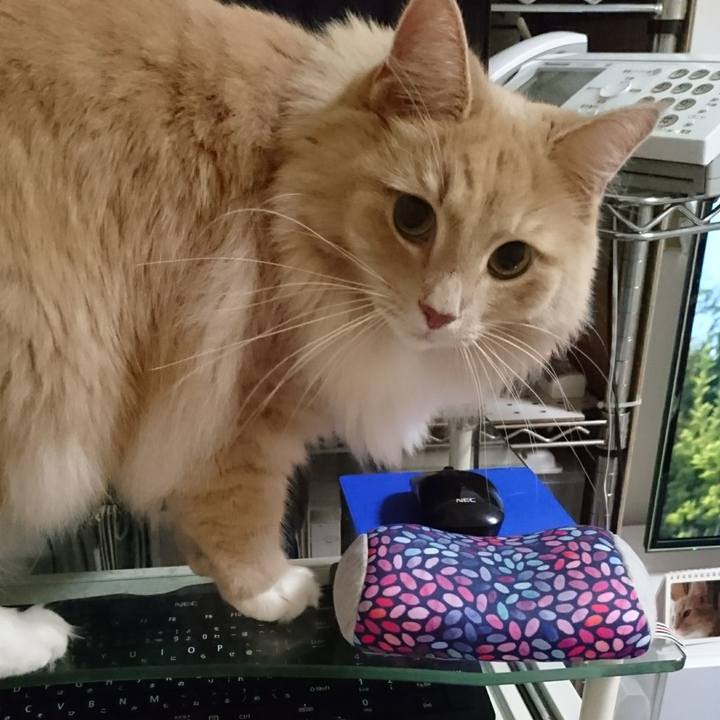 3ca07e78 c818 43dc a6b2 d97975c89e4b