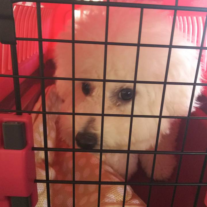 3ca19bb0 a6f0 4517 b26d d41bc568312d