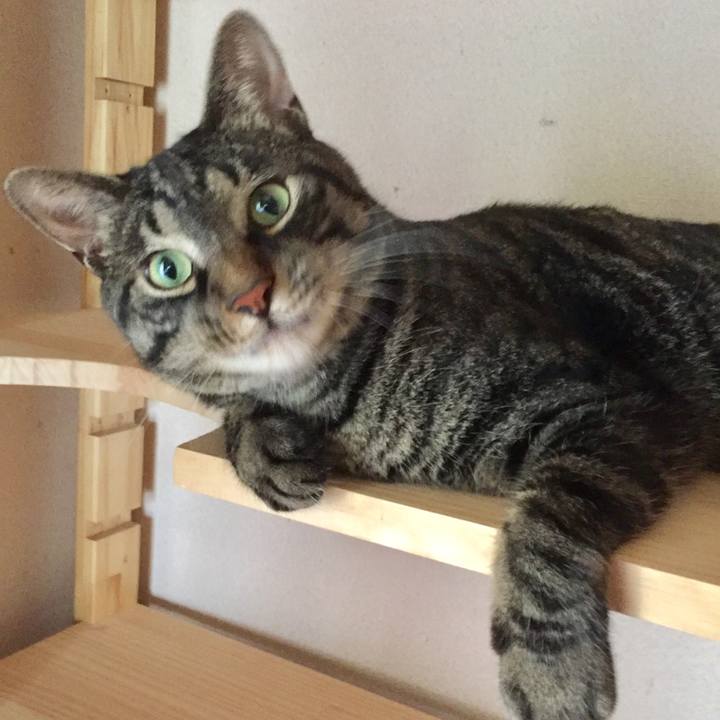 3ca1c55f 097d 49c3 8a9e b51afab47ed7