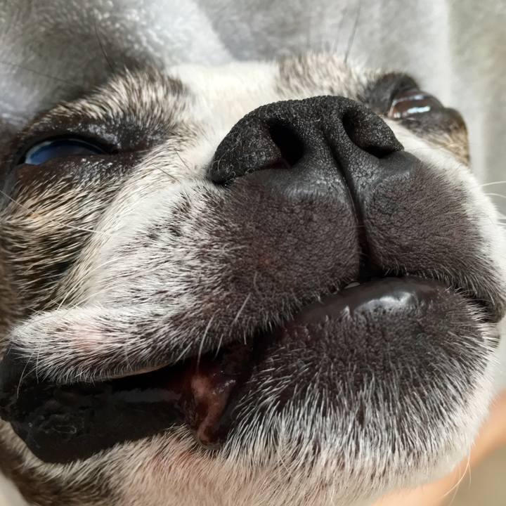 3ca1e01e 04b3 48c5 9995 69c6cb82b871