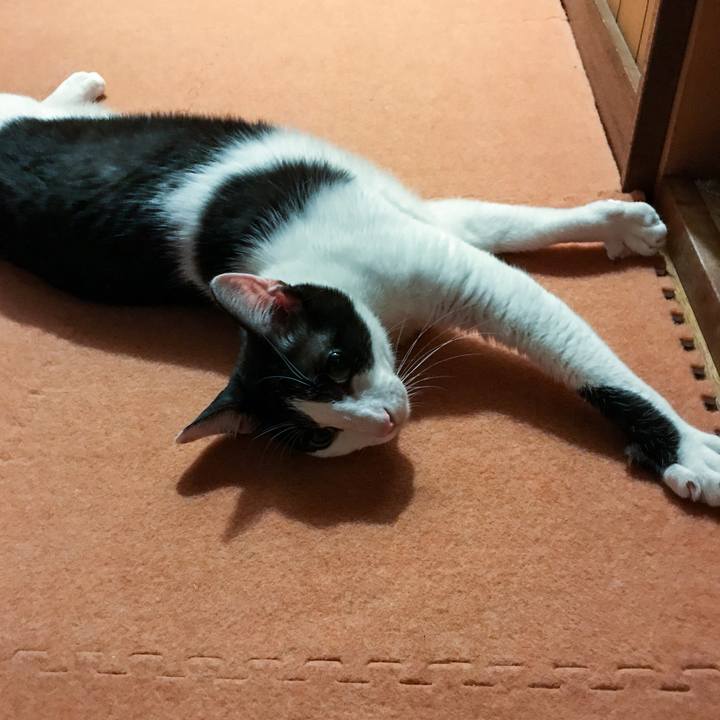 3ca27480 396d 4f01 a479 082325802b0c