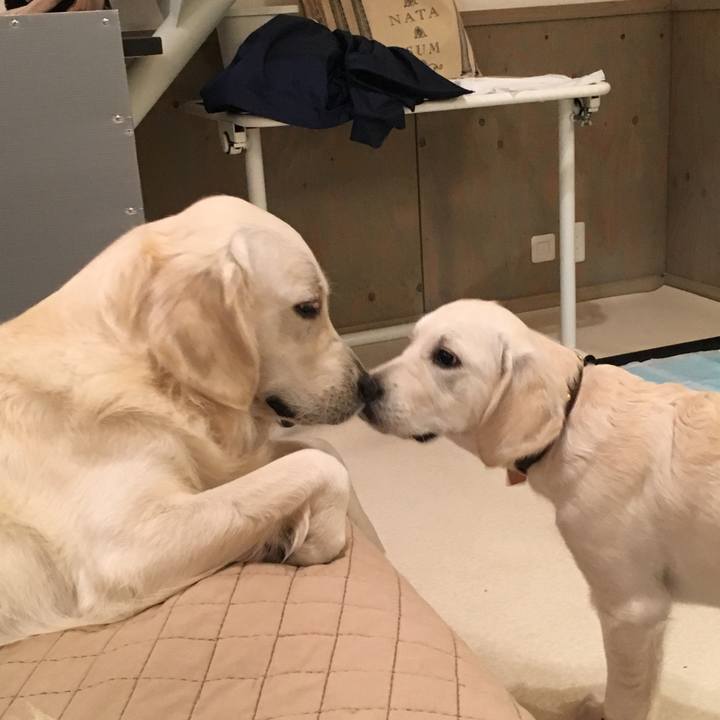 3ca27746 840e 46f4 92af 3e72a144ec91