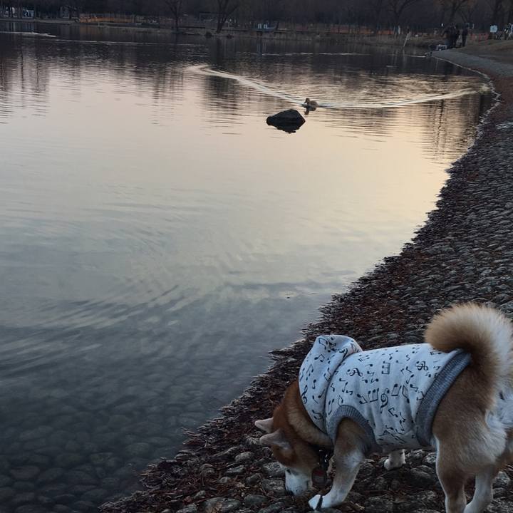 3ca2807c fe52 43e5 98e5 ca84d1dbe00a